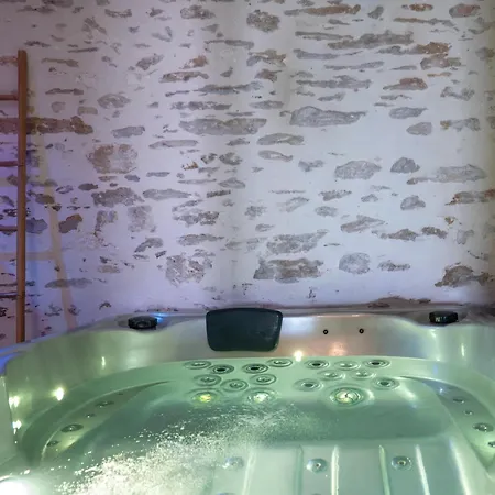 Maison Avec Espace Bien-etre Prive ヴィラ Mareuil-sur-Lay